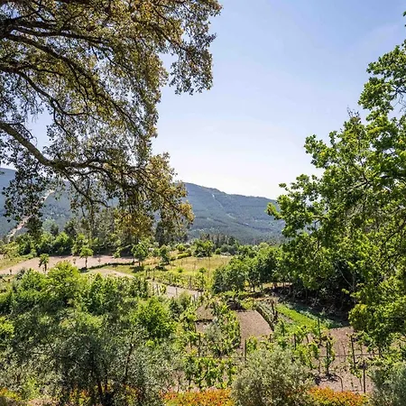 Quinta Da Baldieira Ferienhaus Mondim de Basto