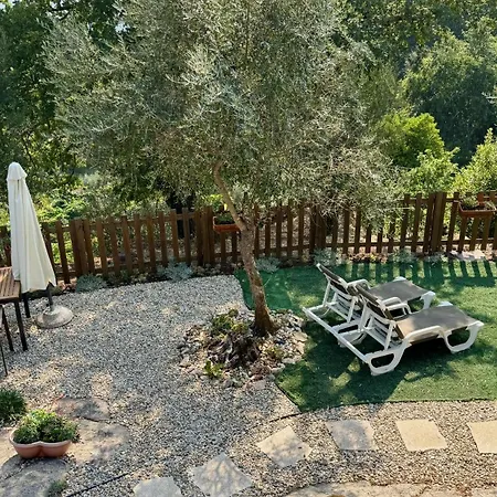 Quinta Da Baldieira * Mondim de Basto