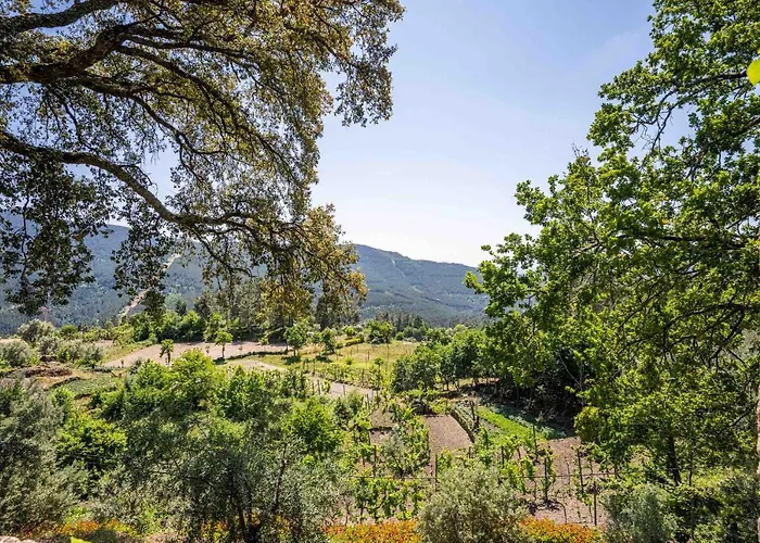 Quinta Da Baldieira Vakantiehuis Mondim de Basto